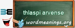 WordMeaning blackboard for thlaspi arvense